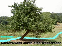 Wasserader