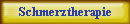 Schmerztherapie