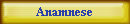 Anamnese